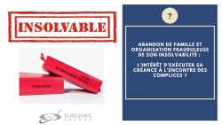 Organisation frauduleuse insolvabilité